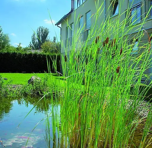 Altes Wasserwerk Gbr Freinsheim